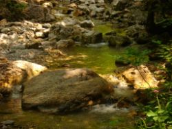 2013-07-20_Regina-F-Rau_Kochel-Rabenkopf (081).JPG
